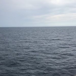 Meet your Posher, Lashay